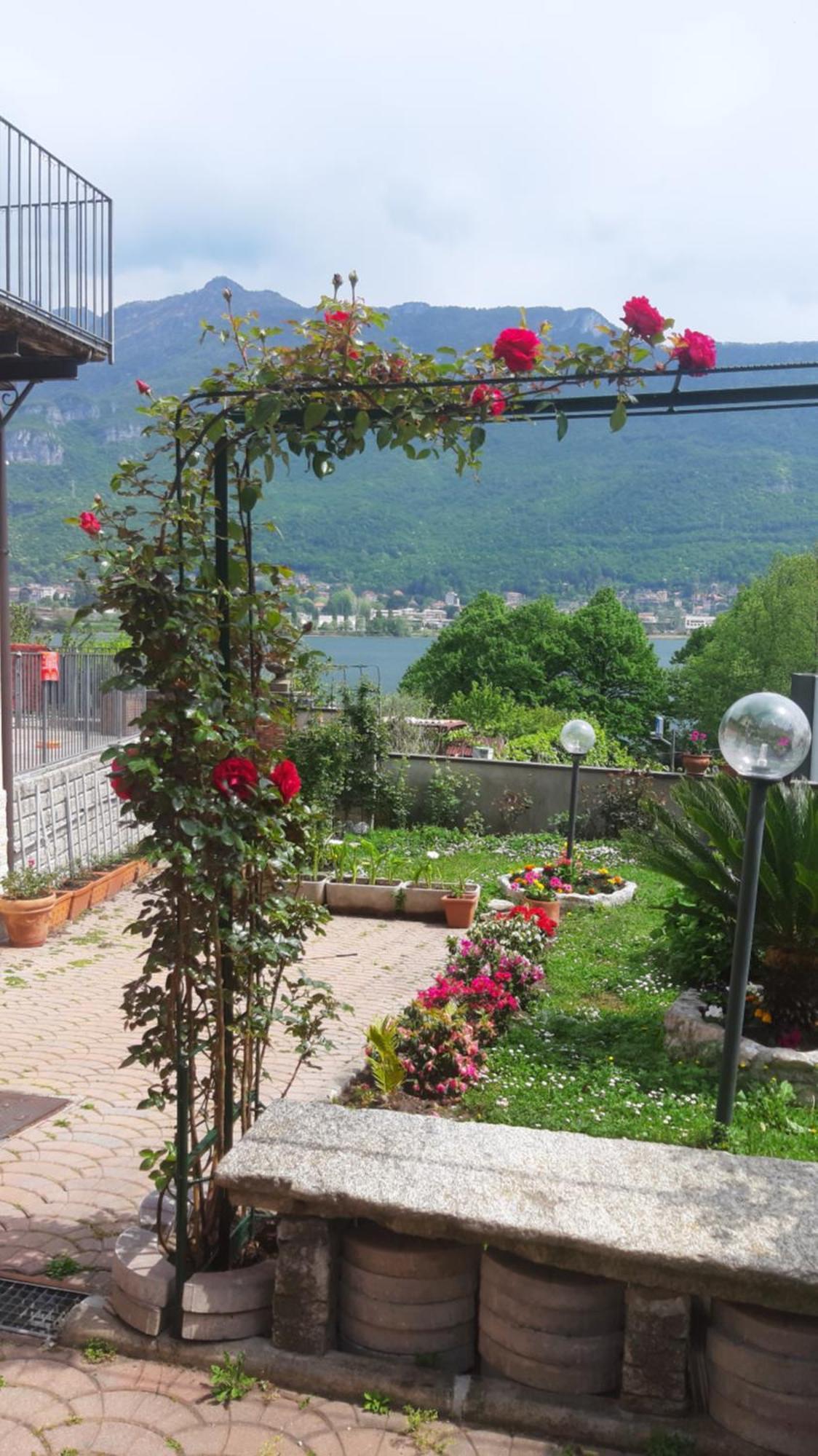Le Rose Sul Lago Pescate Exteriér fotografie