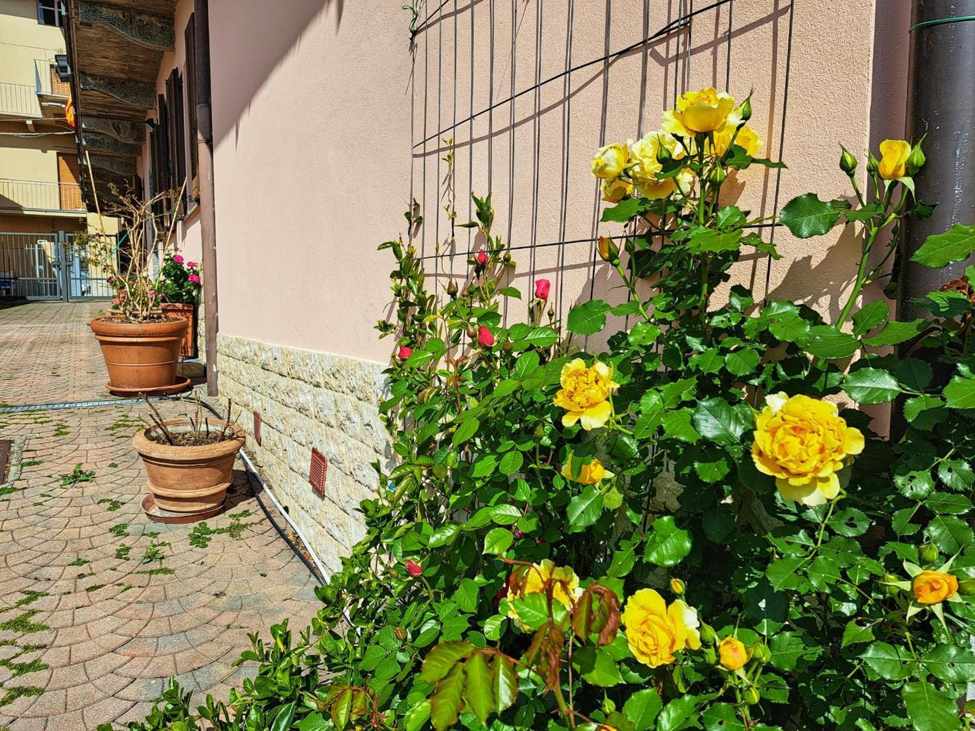 Le Rose Sul Lago Pescate Exteriér fotografie
