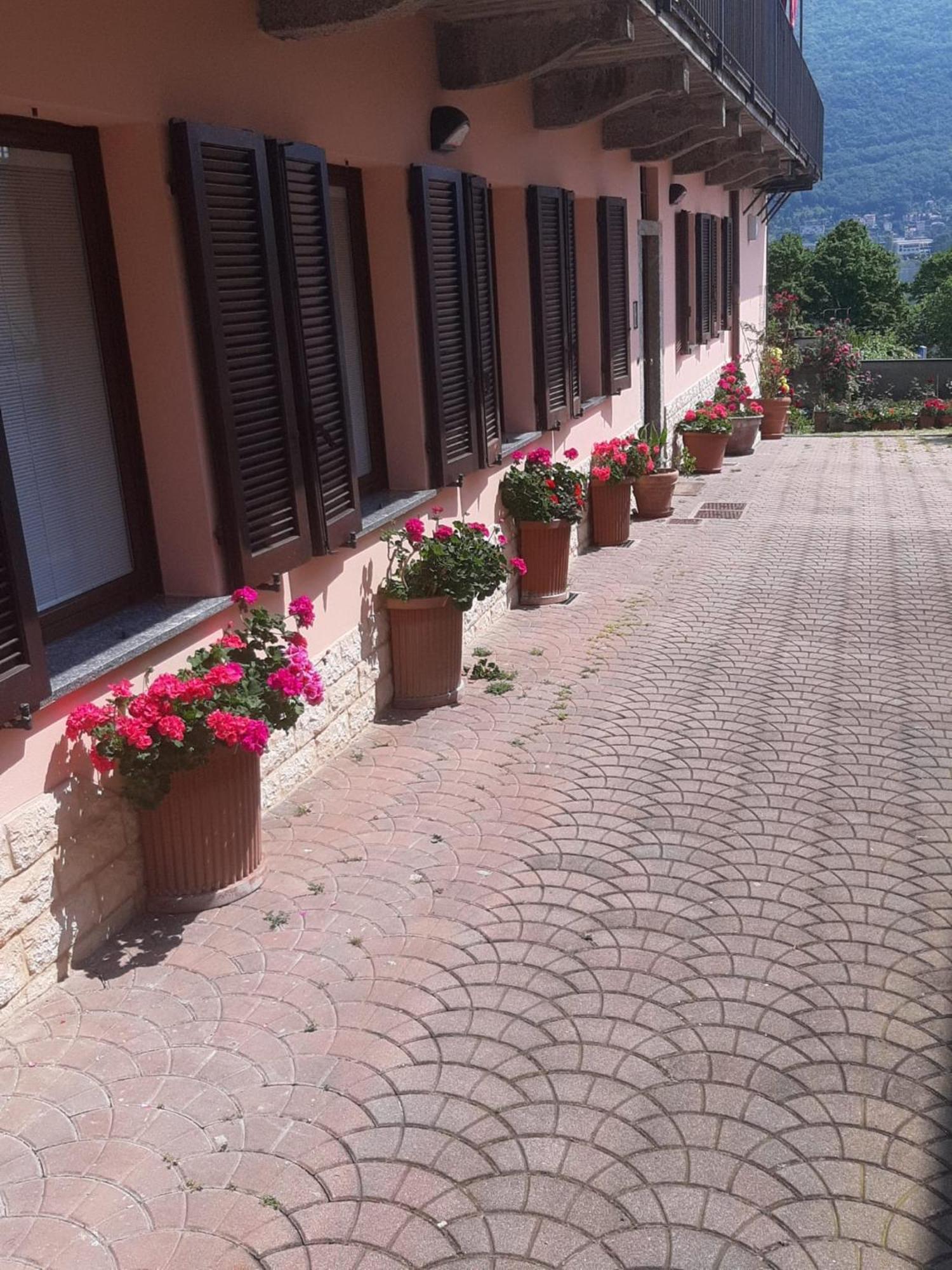 Le Rose Sul Lago Pescate Exteriér fotografie